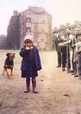 A dog barks at a girl in the Surrey Lane area of the Gorbals, Glasgow 25th September 1956
