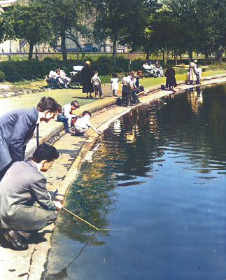 At the pond in Elder Park, Glasgow  1950s
