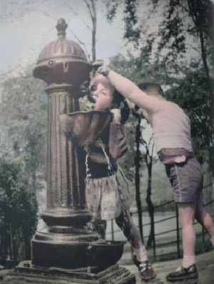 Getting A Drink  From The Fountain At Kelvingrove Park, Glasgow Circa 1960s
