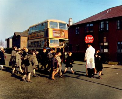 School Crossing Patrol. The Driver of the No 17 Bus to Penilee waits patiently for the Children to cross the Road, Glasgow 1955
