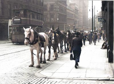 Trace horses resting on West Nile Street c 1920s
