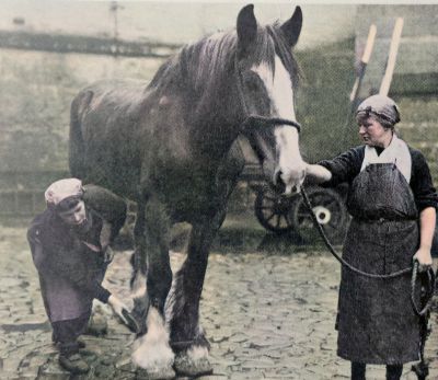 Women at work in the LMS Stables in Glasgow, 1941
