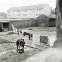 Back_Courts_In_The_Gorbals2C_Glasgow2C_February_1964.jpg