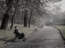 The_Kelvin_Walkway_Near_The_Bridge_To_The_Botanic_Gardens_Glasgow_1959.png